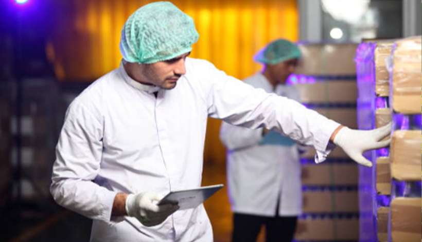 Eco-Conscious Material Sourcing