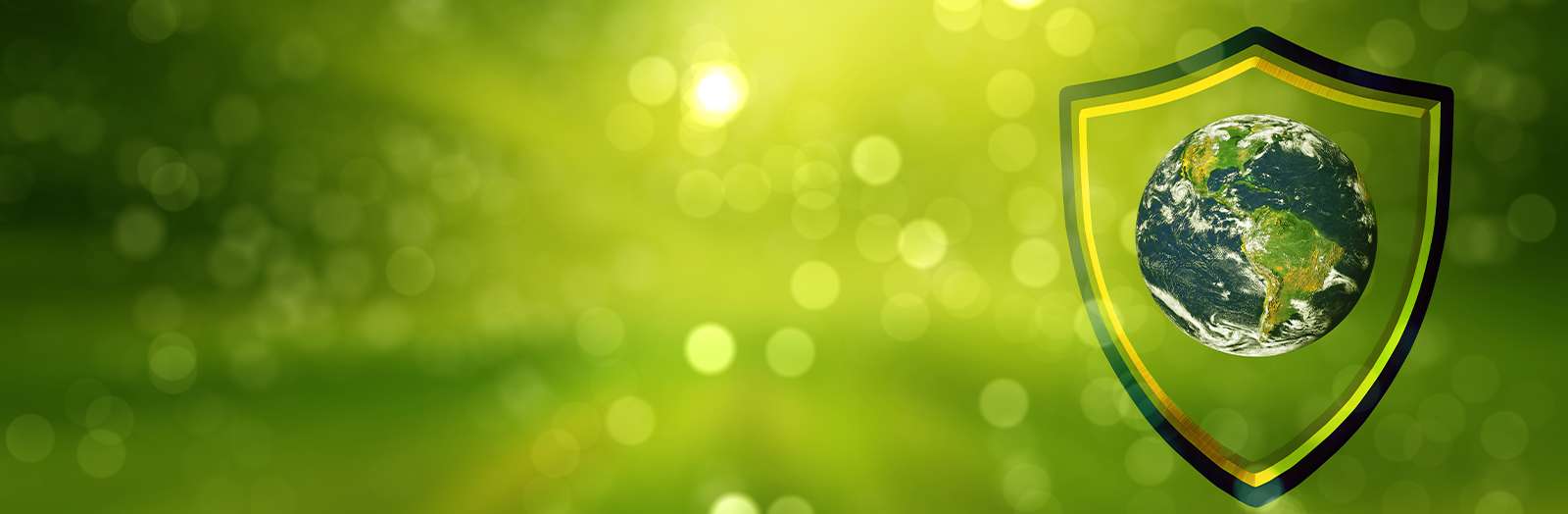 Sustainable Development – Woven for a Greener Future
