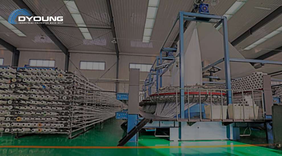 Which Polyester Mesh Belt Manufacturer Offers the Best Custom Solutions