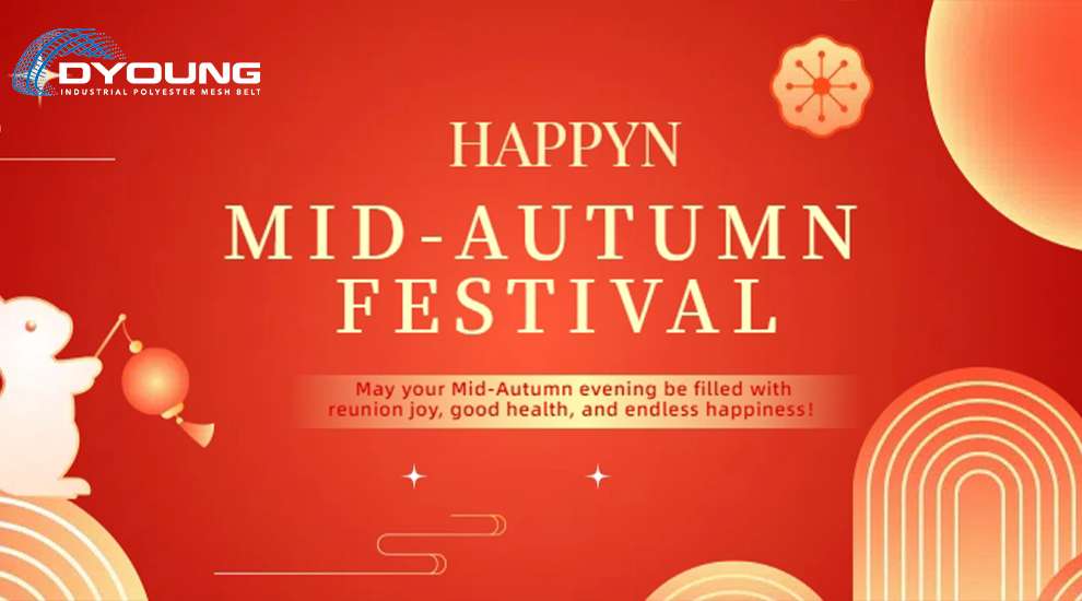 Mid-Autumn Festival 2025-DYOUNG Sends Warm Wishes for Reunion, Joy, and Prosperity