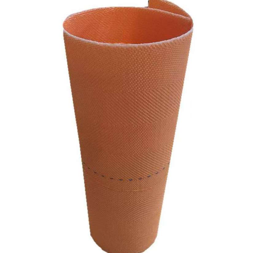 Desulfurization Mesh Mesh Belt